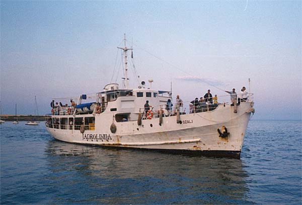 bozalj1