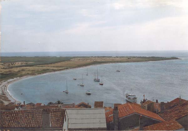 andypogled