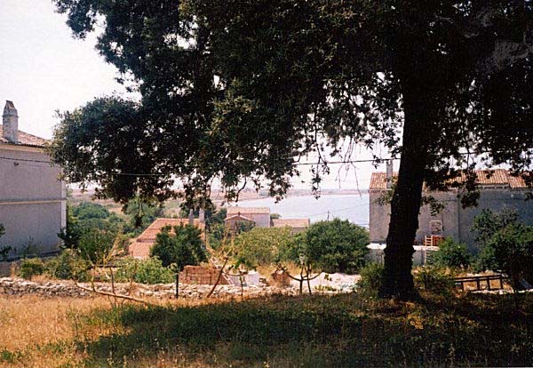 pogled
