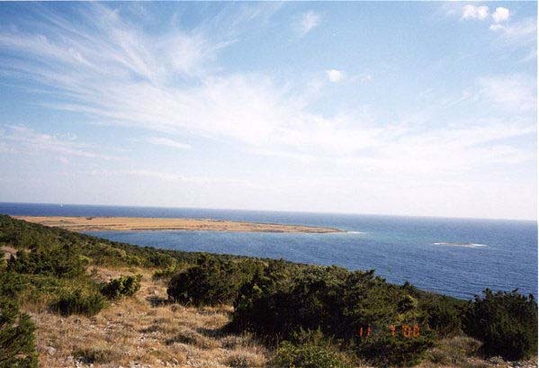 pogled6