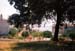 pogled