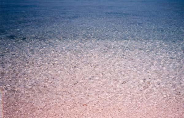 cistomore1
