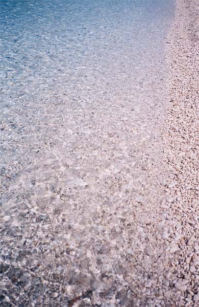 cistomore2