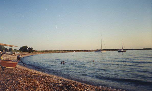 zal