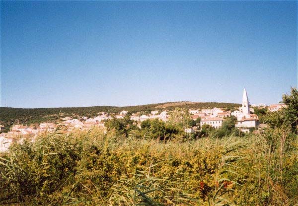 pogled2