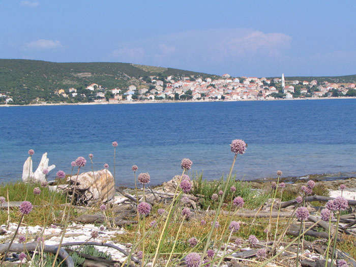 STA_7052