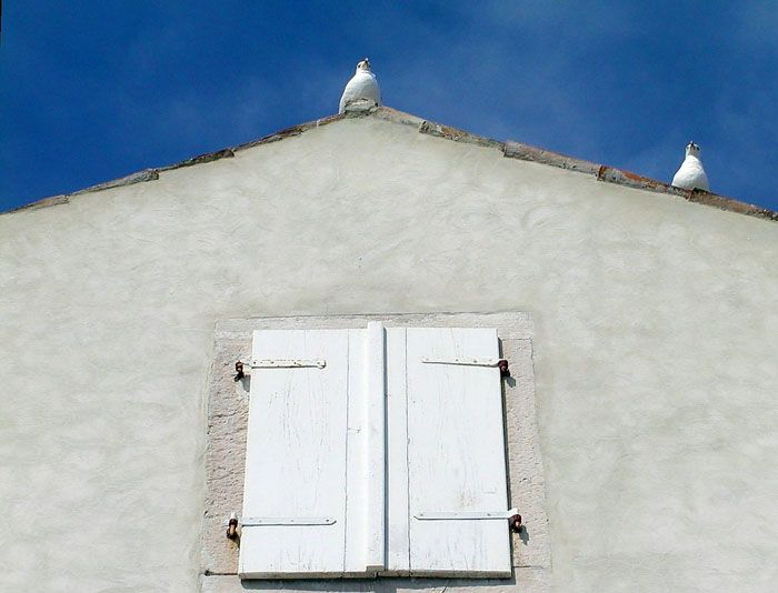 galebi 1